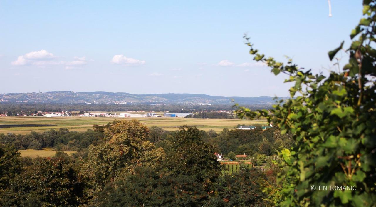 Kuca Za Odmor Mare Villa Sveti Martin Na Muri Esterno foto